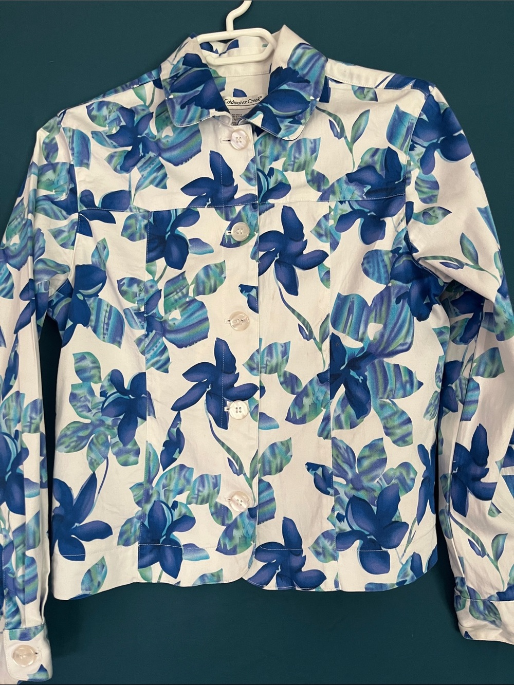 Coldwater Creek Blue Floral Blouse
